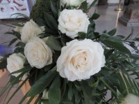 das zu meldende Bild