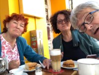 das zu meldende Bild